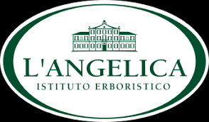 L'angelica